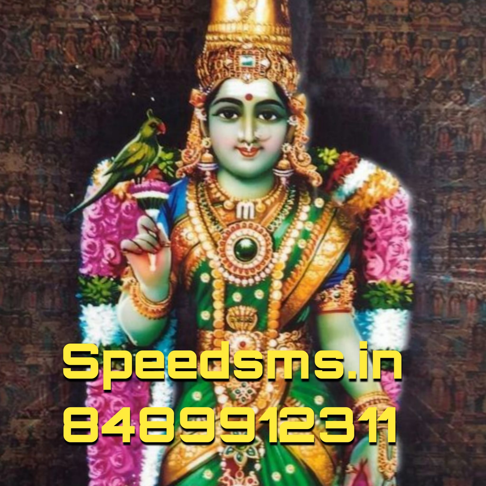 Buy bulk SMS in Madurai