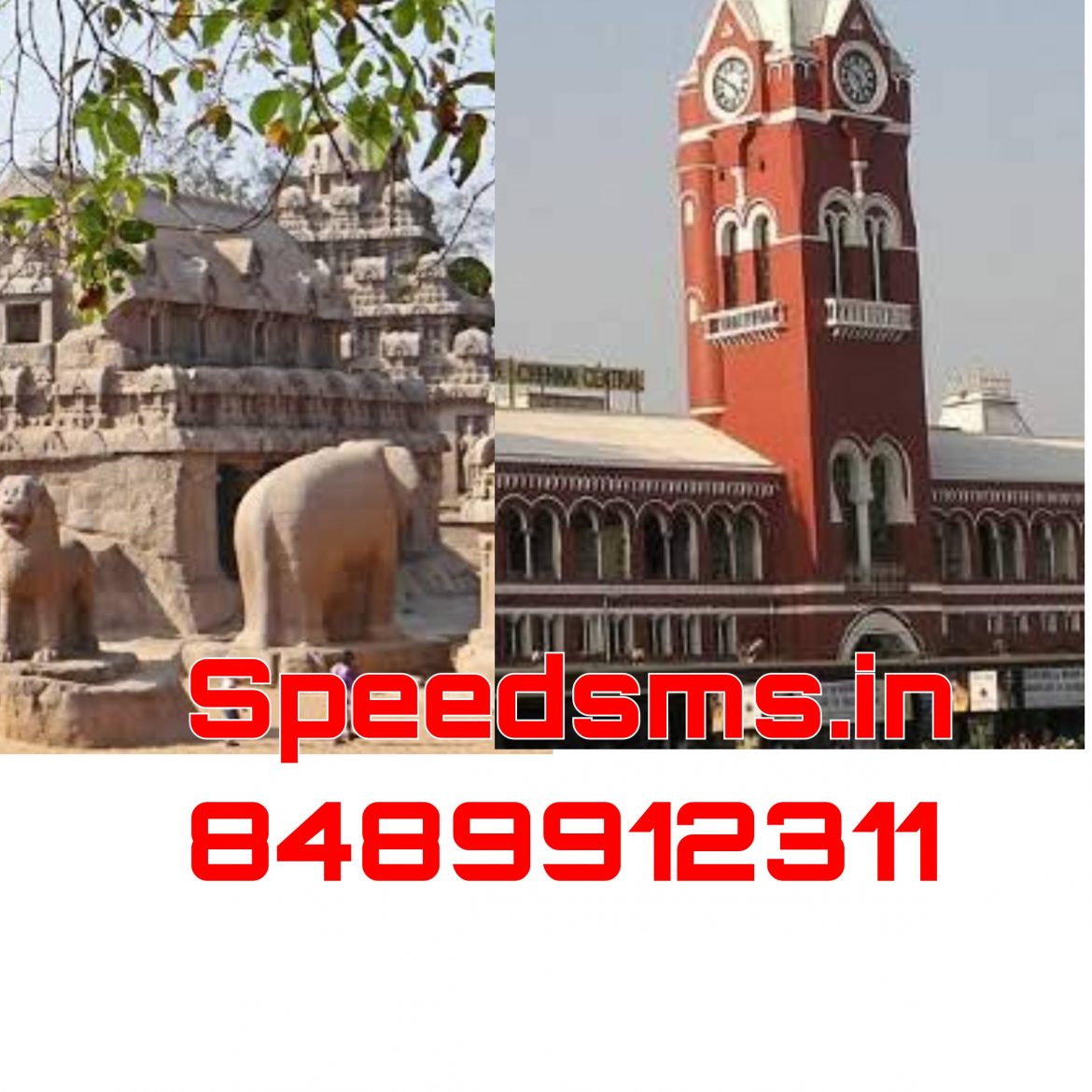 Bulk SMS IN CHENNAI